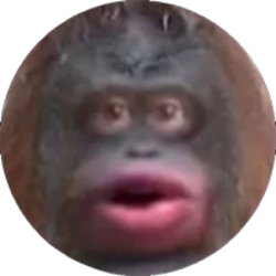 Monkecoin